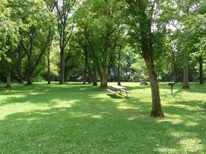 Ye Olde Mill Utica Ohio