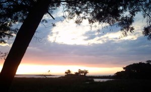 My beautiful picture